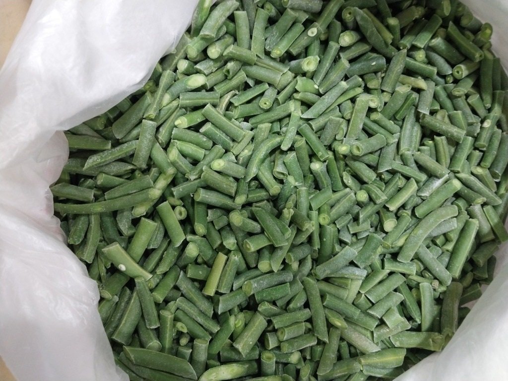 Green bean harvest