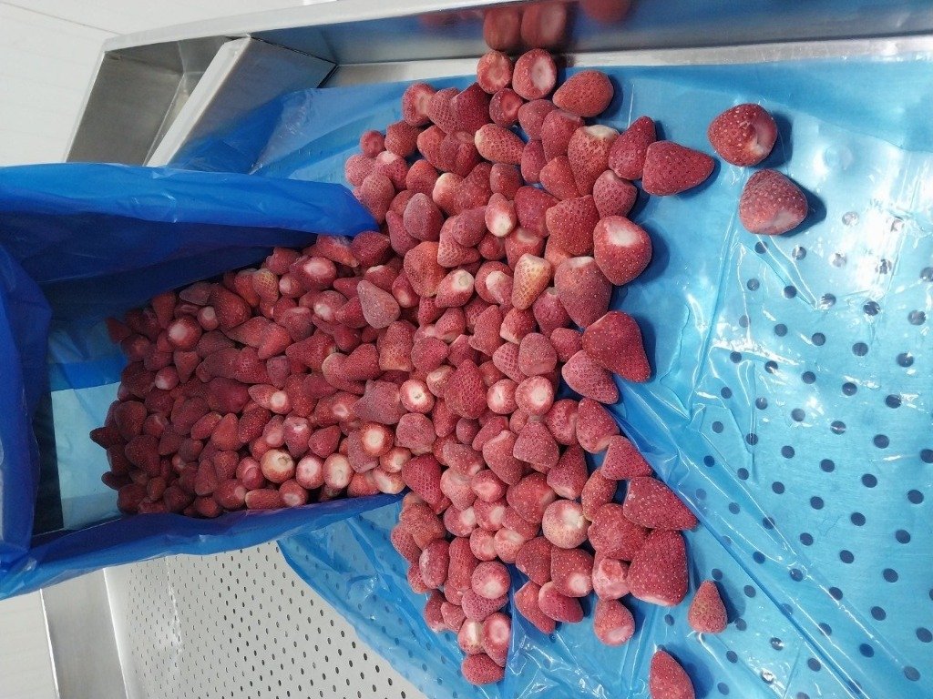 Strawberry harvest